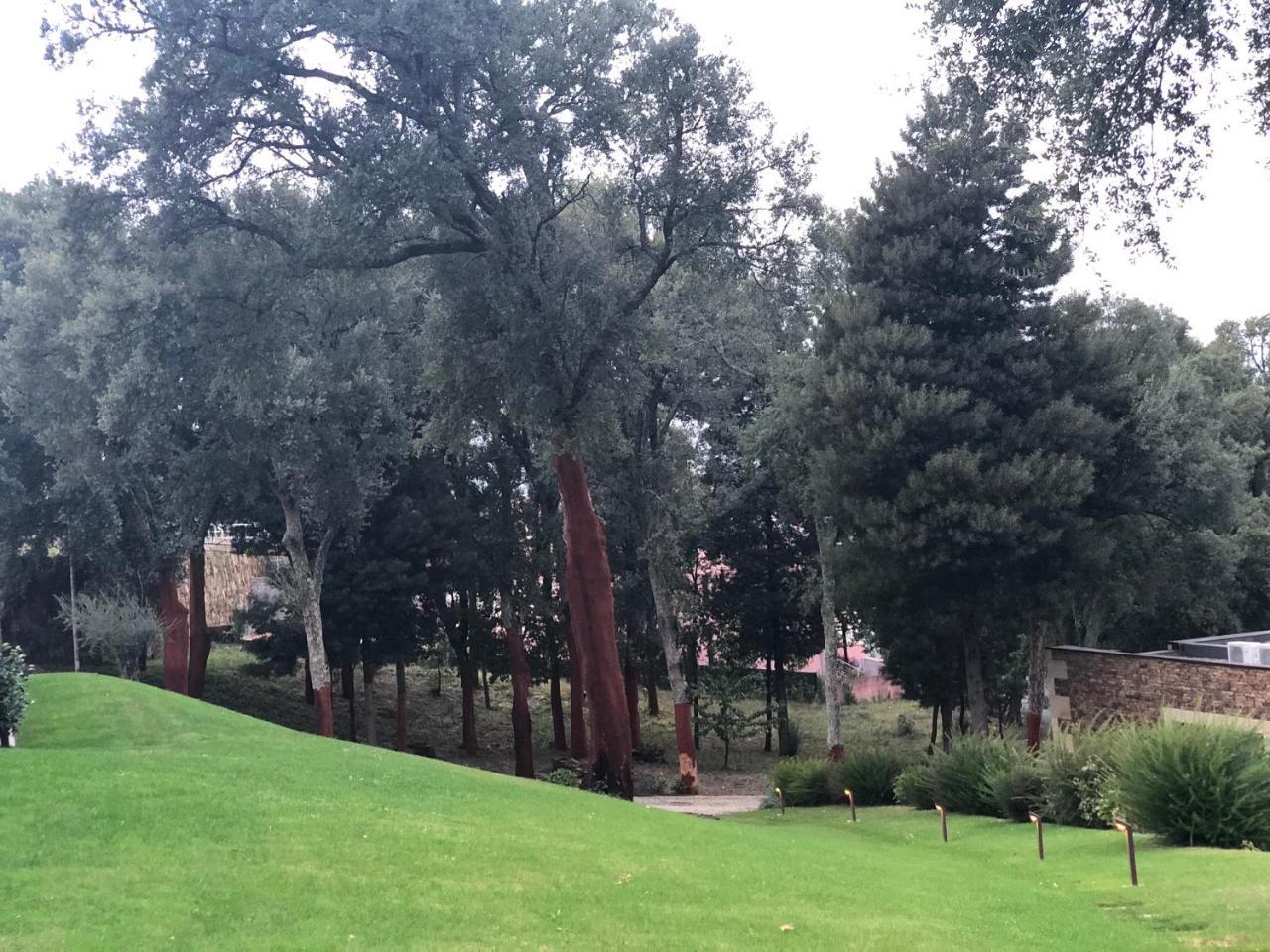 Affittacamere Bosque Da Harmonia Arco de Baulhe Esterno foto