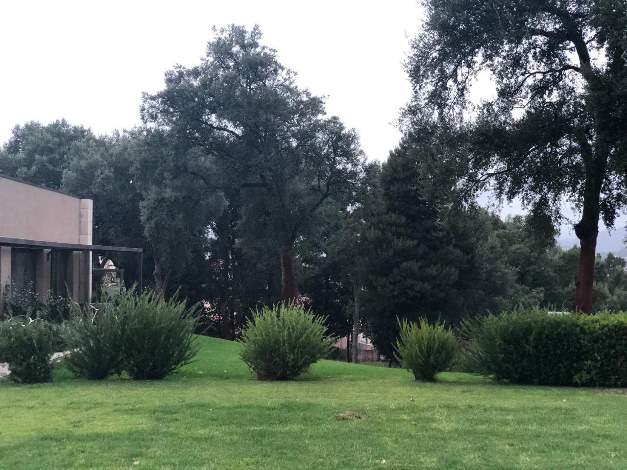 Affittacamere Bosque Da Harmonia Arco de Baulhe Esterno foto
